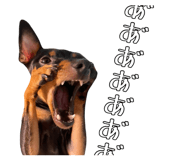 823206287