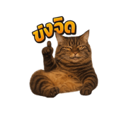 823237047
