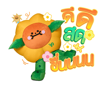 ลายที่ 13