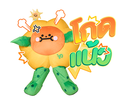 ลายที่ 25