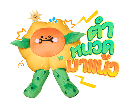 ลายที่ 29