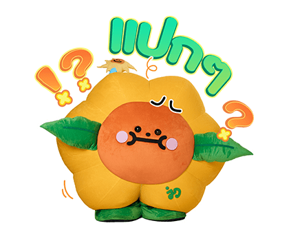 ลายที่ 41