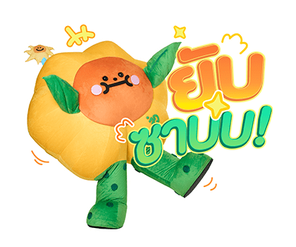 ลายที่ 43