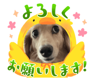 823279431