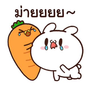 กระต่ายขี้เล่นกับเบบี๋แครอท รูปที่ 3
