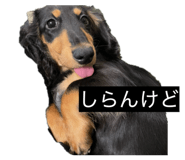 823310607