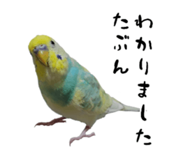 823312717