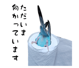823312722