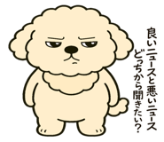 823329213