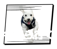 823333320