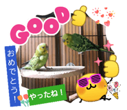 823333573
