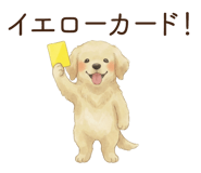 823336951