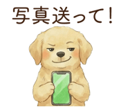 823336953