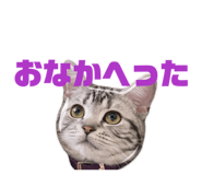 823347947