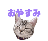 823347950