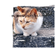 823361077
