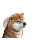 823369377