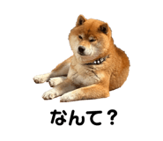 823369378