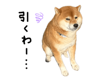 823369390