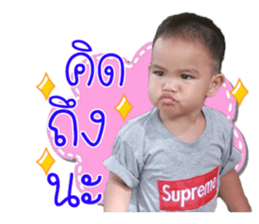 82337226
