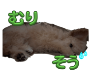 823378108