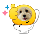 823379135