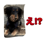 823382974