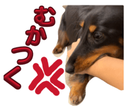 823382976