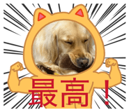 823387614