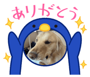 823387618