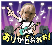 823387619