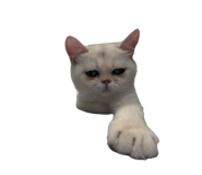823393033