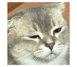 823423466