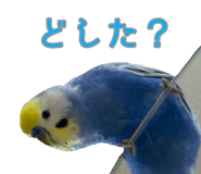 823426434