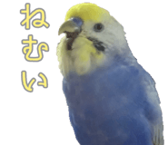 823426435