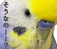 823426439