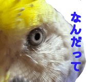 823426440