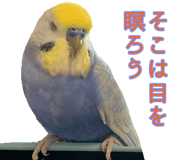 823426441