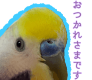 823426453