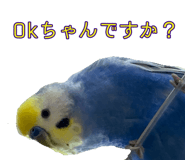 823426455