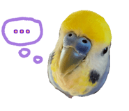 823426457