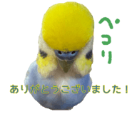 823426464