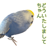 823426465
