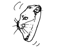 823430366