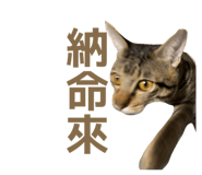 823445644