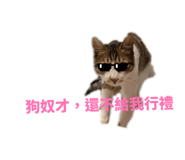 823448727