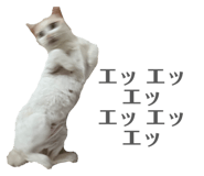 823465506