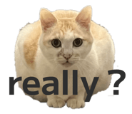823465513