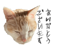 823465515