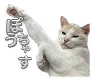 823465517
